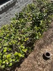 Local residential landscaping near you across Abilene, TX - Ron & Stephs' Abilene Tx Lawns for Less