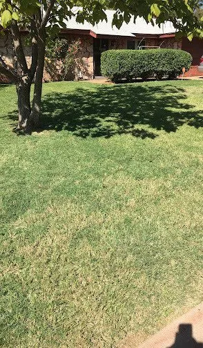 Trusted lawn mowing service in Abilene, TX by Ron & Stephs' Abilene Tx Lawns for Less