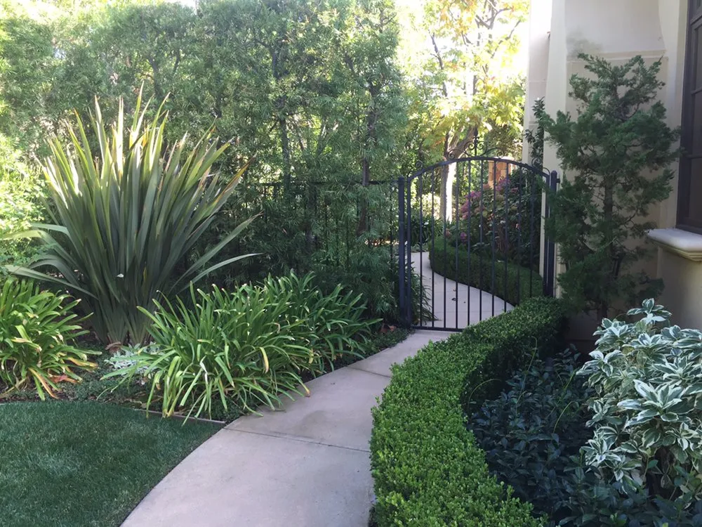 Professional outdoor landscaping for beautiful yards in Camarillo, CA by Ron Hoelting Landscaping