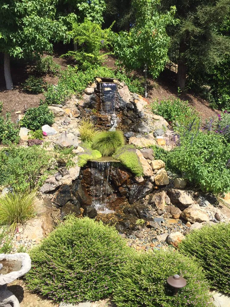 Professional yard cleanup service in Camarillo, CA - Ron Hoelting Landscaping