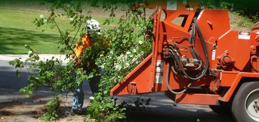 Trusted landscaping services near you across Freeport, IL - Ron Lender Tree and Landscape Service