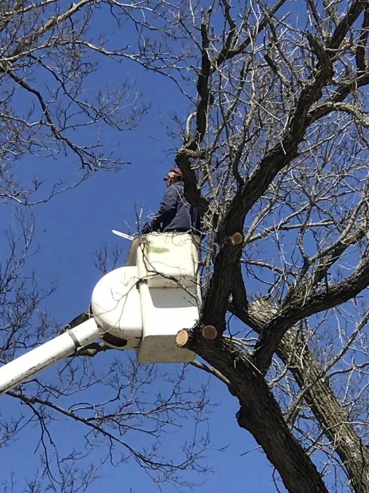 Expert landscaping services in Freeport, IL - Ron Lender Tree and Landscape Service