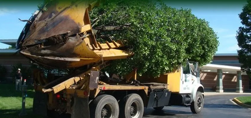 Local residential landscaping in Freeport, IL - Ron Lender Tree and Landscape Service