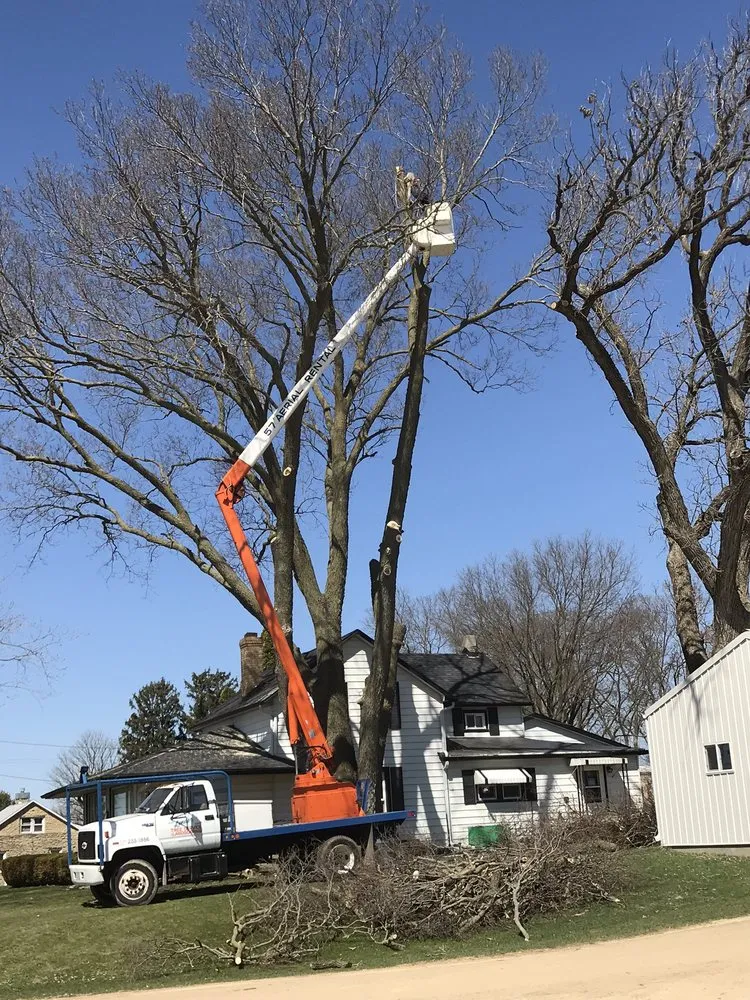 Top-rated landscape installation in Freeport, IL by Ron Lender Tree and Landscape Service