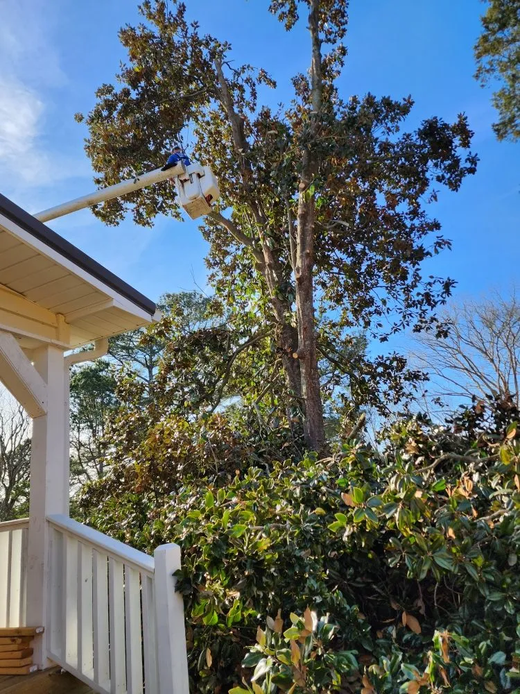 Custom landscape installation in Tunnel Hill, GA by Ron Raby Tree & Landscape