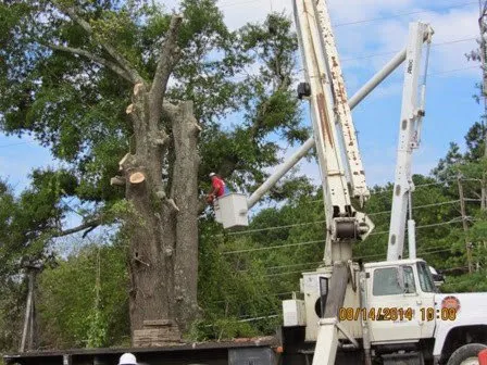 Local garden landscaping for residential properties across Tunnel Hill, GA - Ron Raby Tree & Landscape