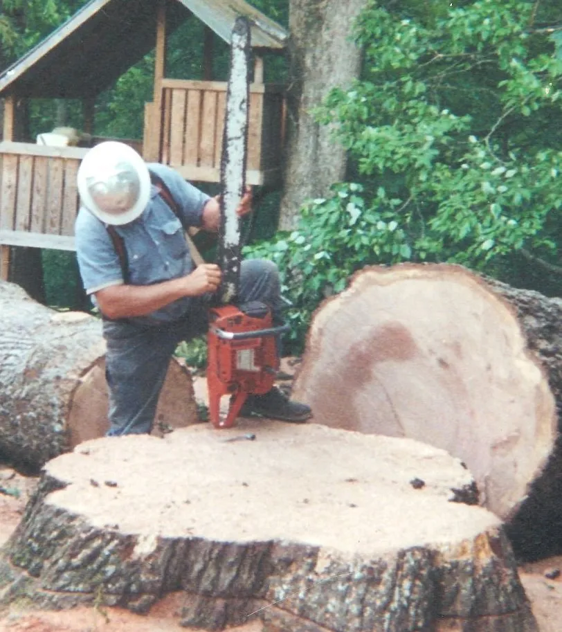 Top-rated landscape design for year-round maintenance across Tunnel Hill, GA - Ron Raby Tree & Landscape