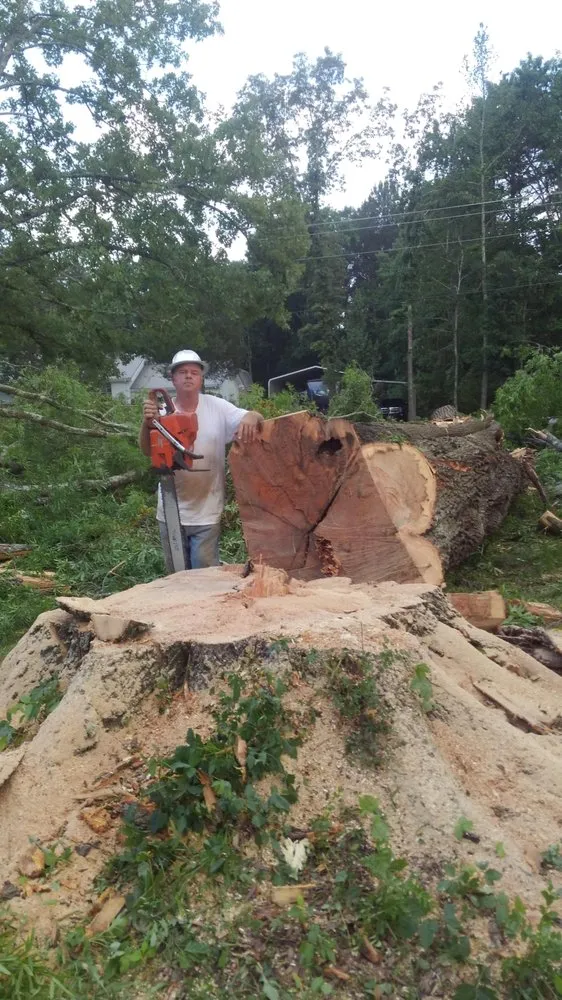 Reliable garden landscaping experts serving Tunnel Hill, GA - Ron Raby Tree & Landscape