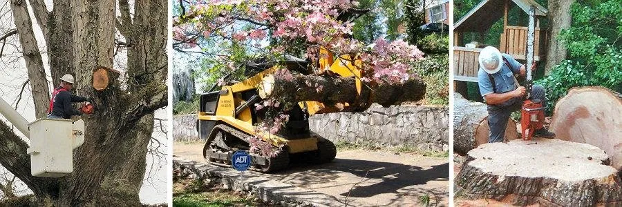 Custom outdoor landscaping in Tunnel Hill, GA - Ron Raby Tree & Landscape