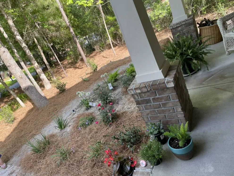 Affordable yard cleanup service for beautiful yards across Glennville, GA - Ron Run’s Landscaping