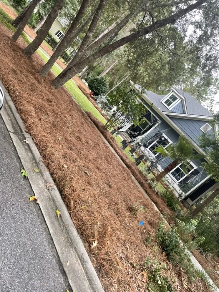 Professional landscape design in Glennville, GA by Ron Run’s Landscaping