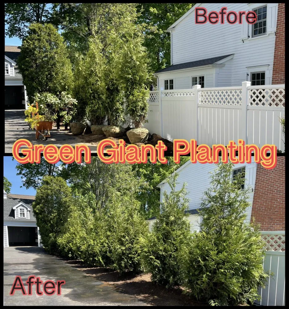 Expert outdoor landscaping in Stamford, CT - Ronal Lima Landscaping