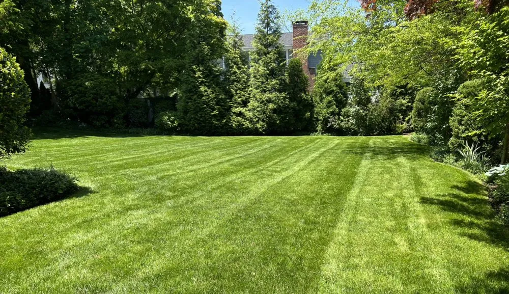 Custom lawn mowing service experts serving Stamford, CT - Ronal Lima Landscaping
