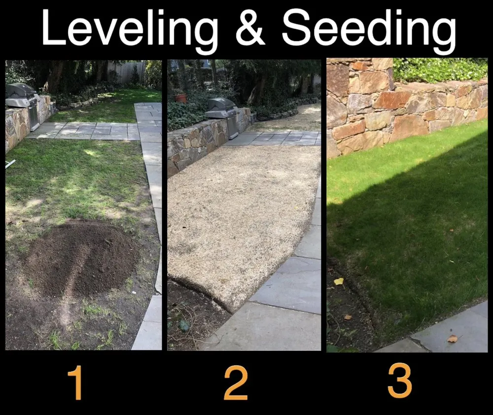 Reliable yard maintenance in Stamford, CT by Ronal Lima Landscaping