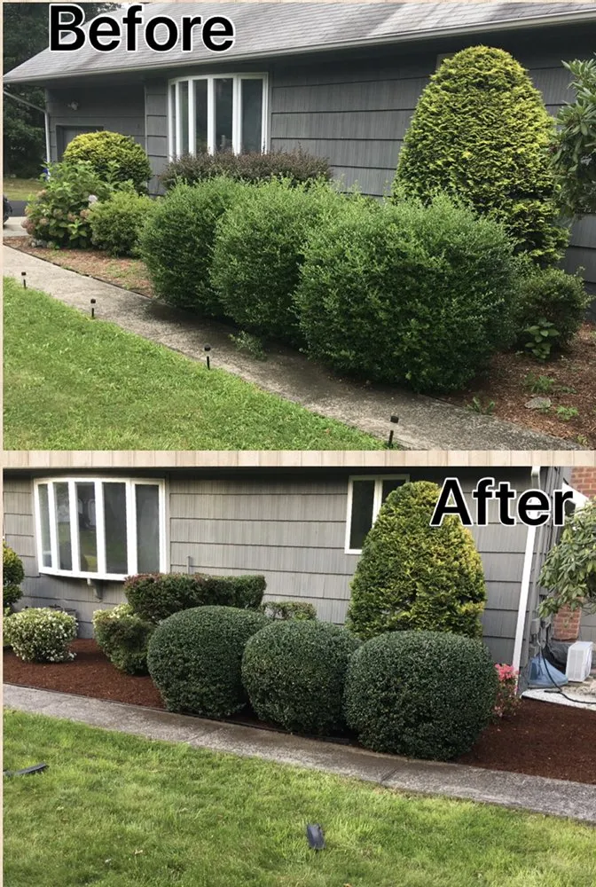 Trusted yard maintenance experts serving Stamford, CT - Ronal Lima Landscaping