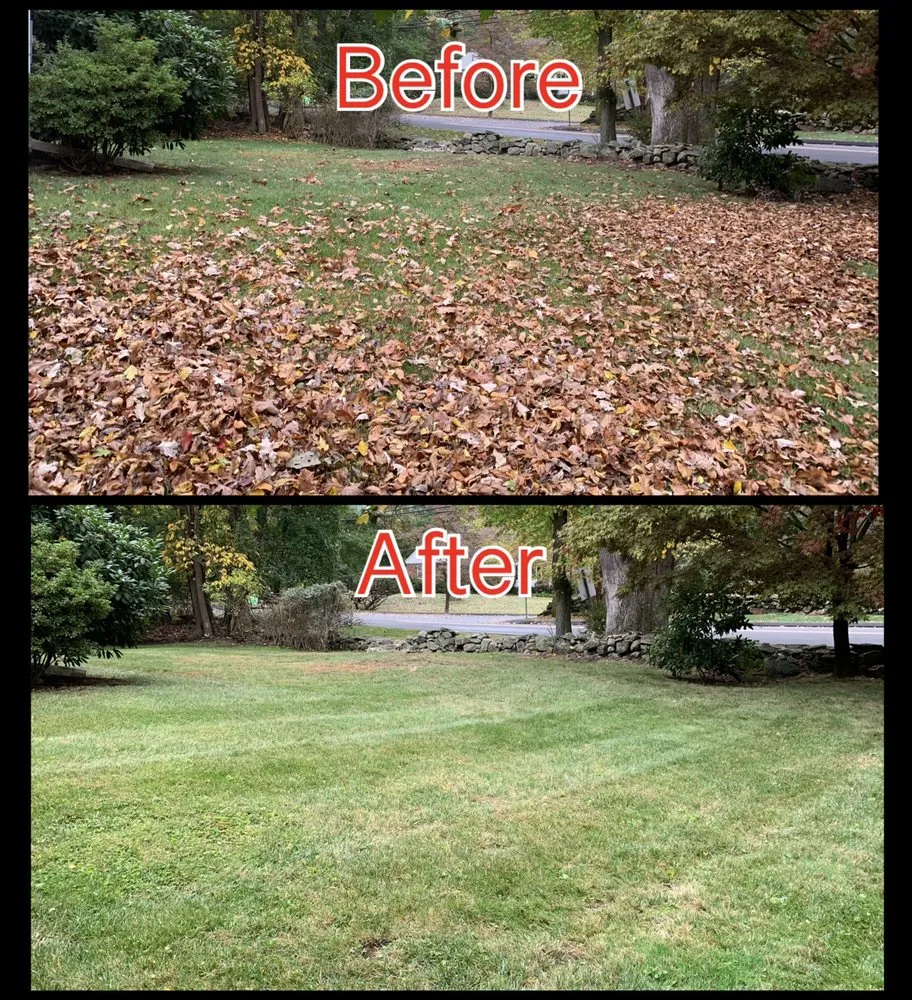 Top-rated lawn care service in Stamford, CT by Ronal Lima Landscaping