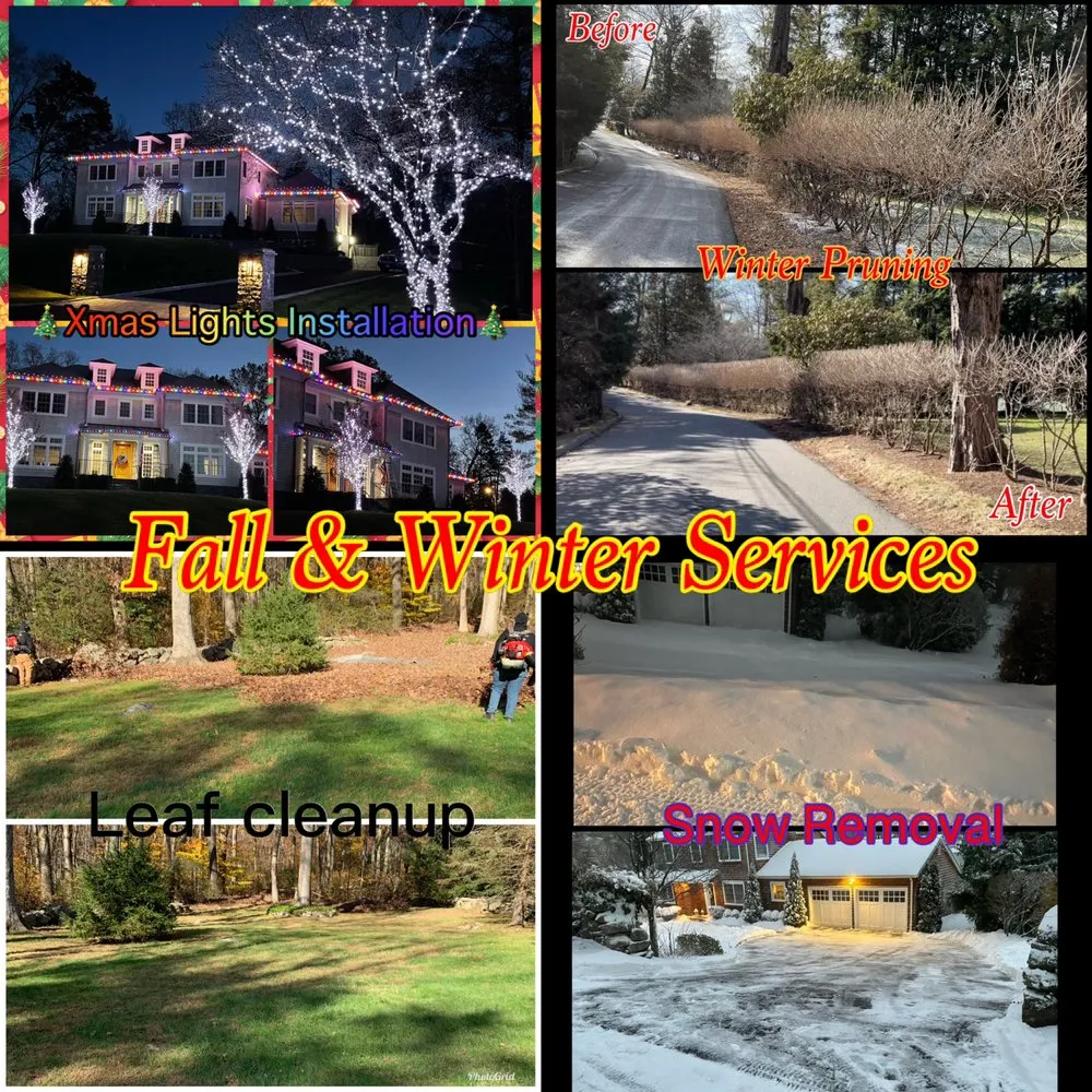 Trusted yard cleanup service experts serving Stamford, CT - Ronal Lima Landscaping