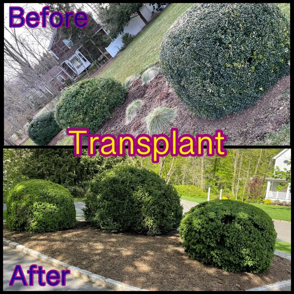 Trusted outdoor landscaping for residential properties across Stamford, CT - Ronal Lima Landscaping