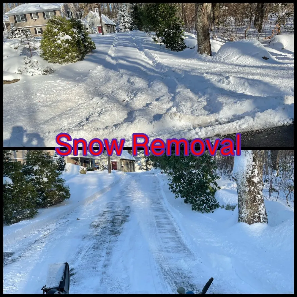 Professional lawn care service in Stamford, CT - Ronal Lima Landscaping