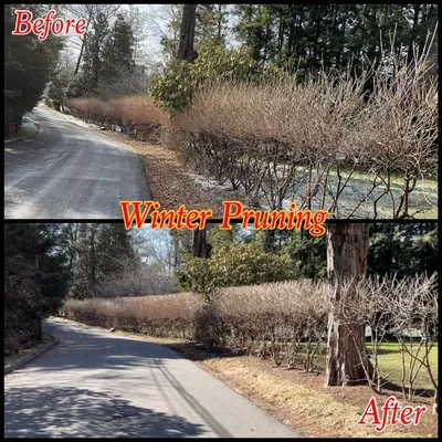 Ronal Lima Landscaping Logo