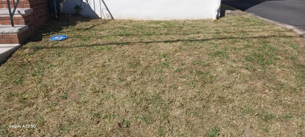 Reliable yard cleanup service in union, NJ by Ronald Booker Landscaping