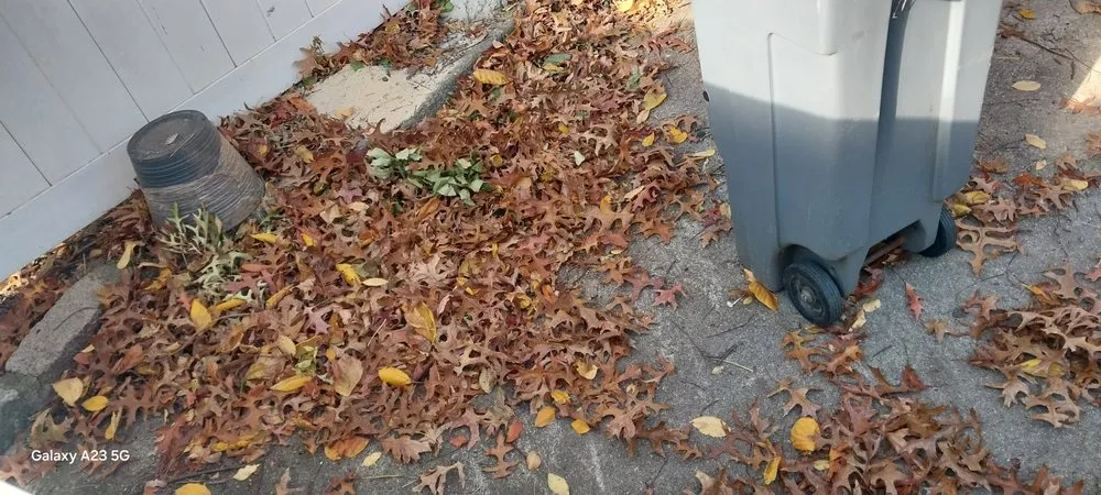 Trusted lawn mowing service near you in union, NJ by Ronald Booker Landscaping