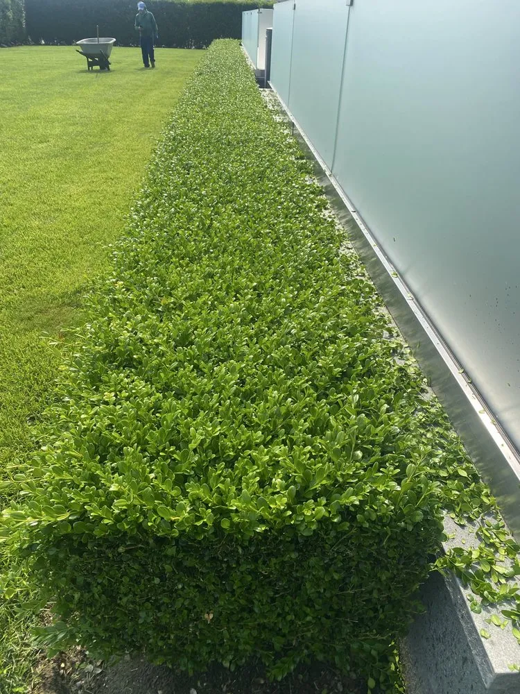 Professional outdoor landscaping in Long Branch, NJ by Ronald Landscaping