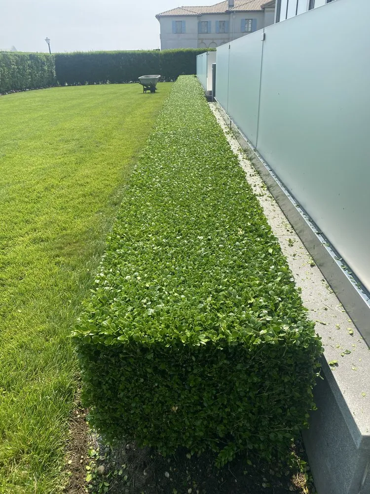 Trusted landscape design for beautiful yards across Long Branch, NJ - Ronald Landscaping