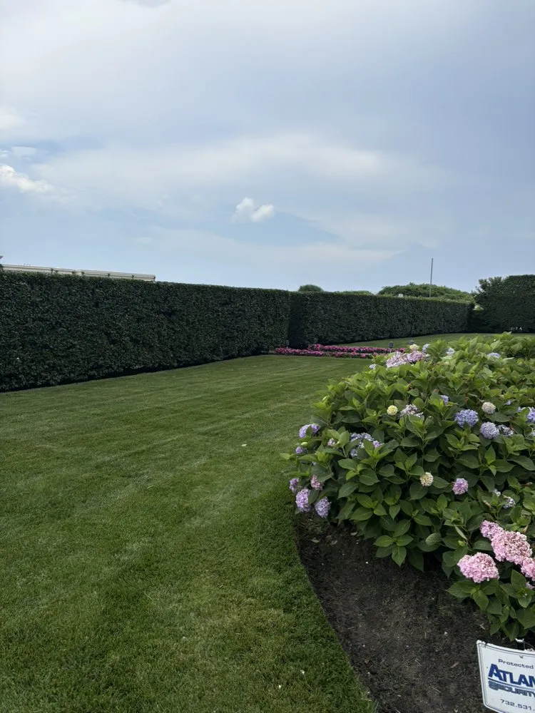 Trusted yard cleanup service in Long Branch, NJ - Ronald Landscaping