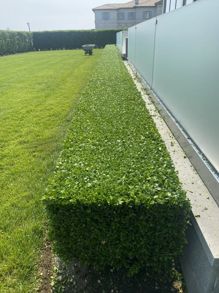 Trusted lawn care service with custom design in Long Branch, NJ by Ronald Landscaping