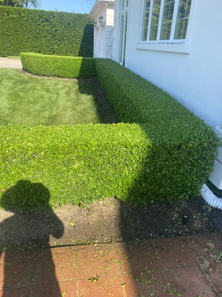 Top-rated lawn care service in Long Branch, NJ by Ronald Landscaping
