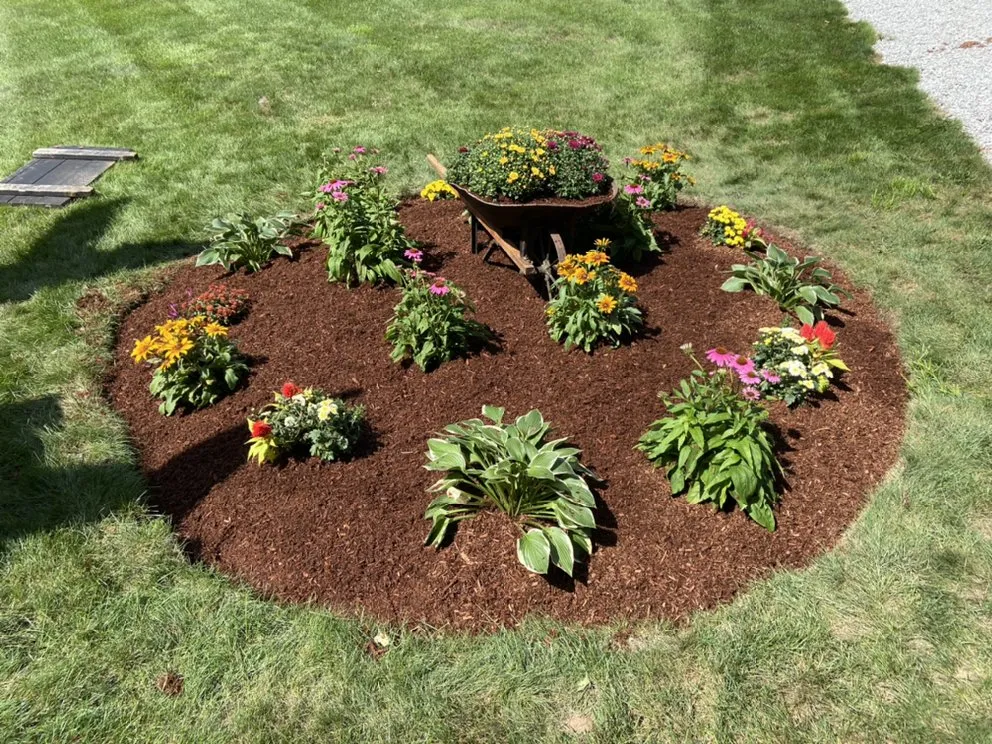 Professional yard cleanup service in Marlborough, MA - Ronaldo’s Landscape