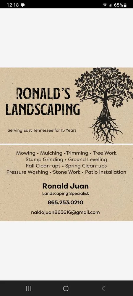 Custom landscape design with custom design in Knoxville, TN by Ronald's Landscaping