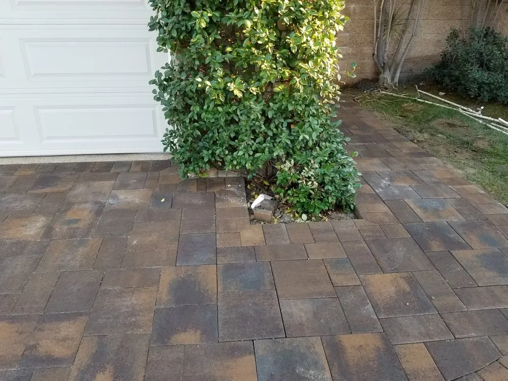 Local lawn care service experts serving Pomona, CA - Ronces Construction