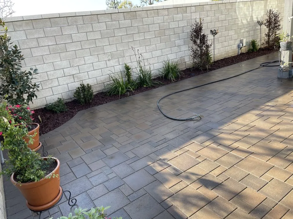 Trusted yard cleanup service in Pomona, CA - Ronces Construction
