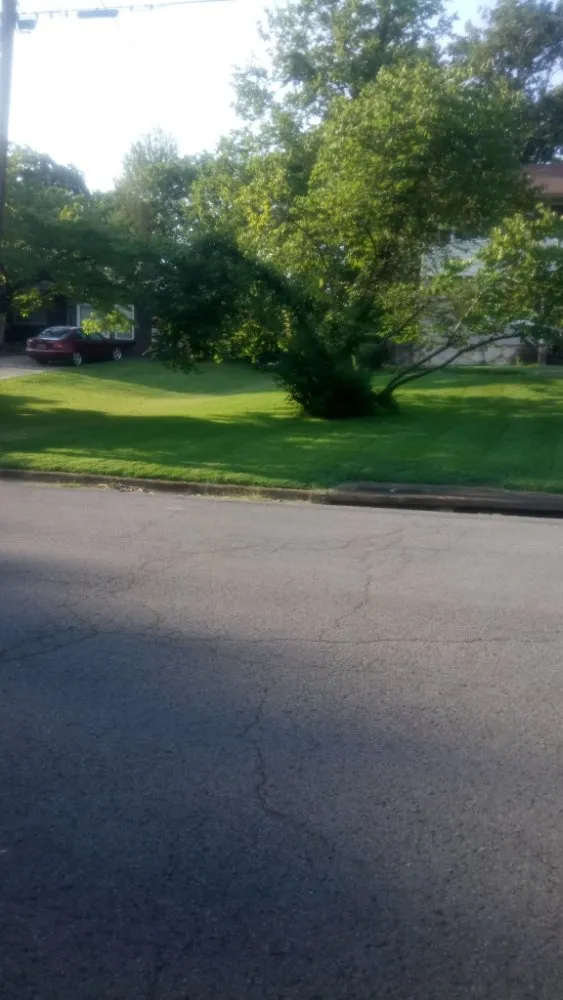 Reliable lawn mowing service for beautiful yards across Huntsville, AL - Rondo Landscaping