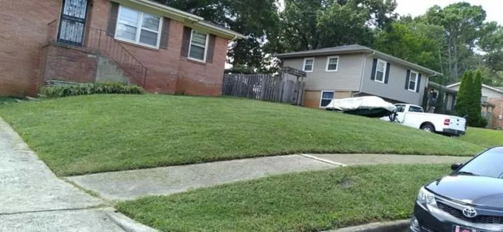 Expert yard cleanup service experts serving Huntsville, AL - Rondo Landscaping