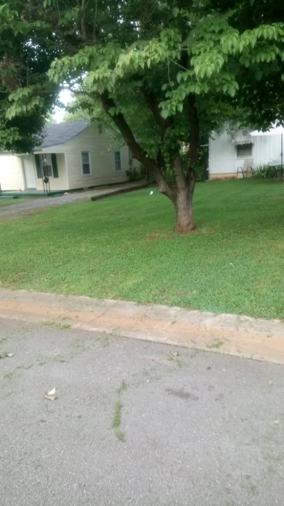 Expert landscaping services experts serving Huntsville, AL - Rondo Landscaping