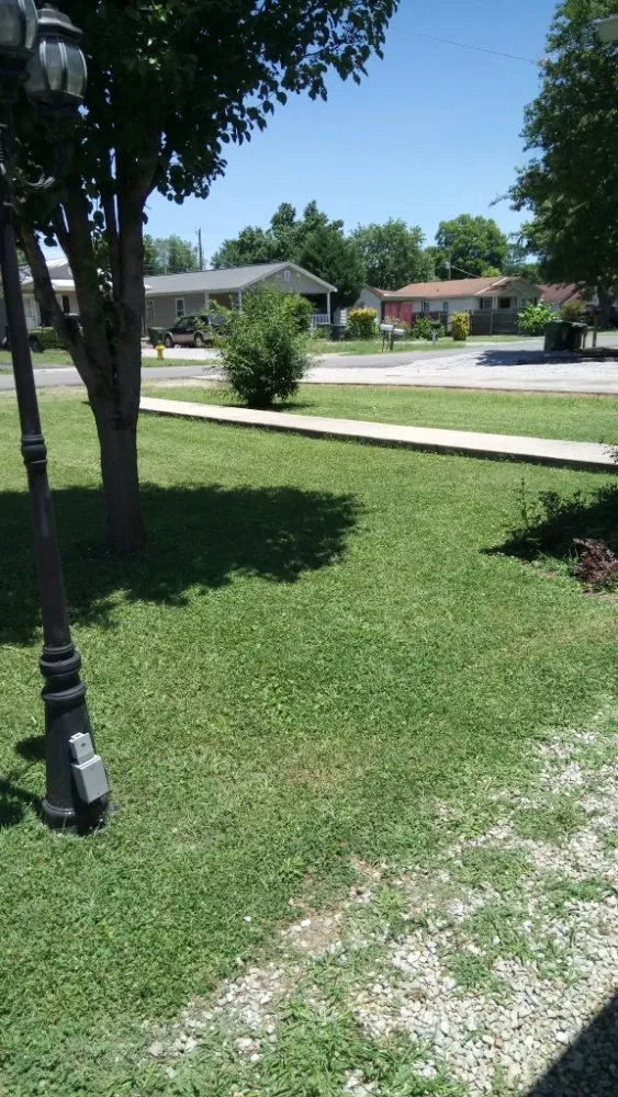 Expert landscape installation in Huntsville, AL - Rondo Landscaping