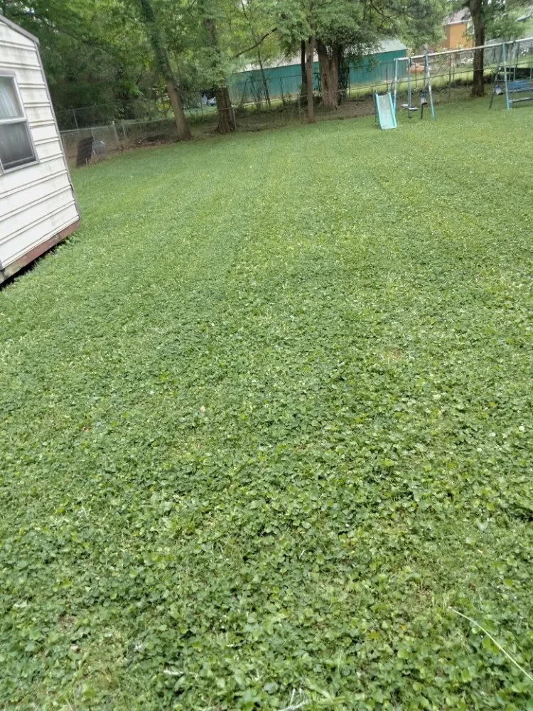 Trusted yard cleanup service experts serving Huntsville, AL - Rondo Landscaping