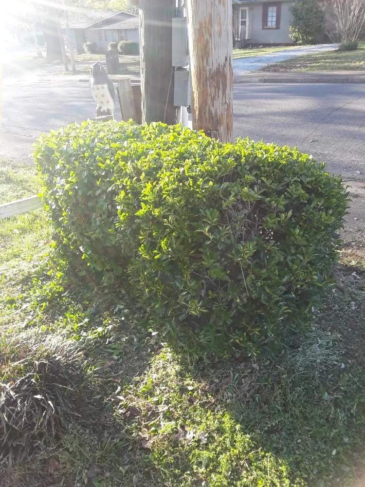 Expert landscape design experts serving Huntsville, AL - Rondo Landscaping