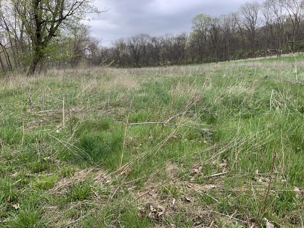 Local garden landscaping in Ankeny, IA by Rondomow