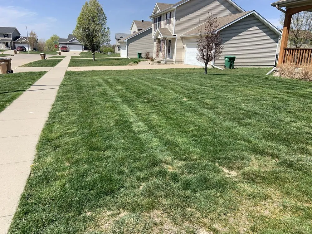Reliable yard maintenance for beautiful yards in Ankeny, IA by Rondomow