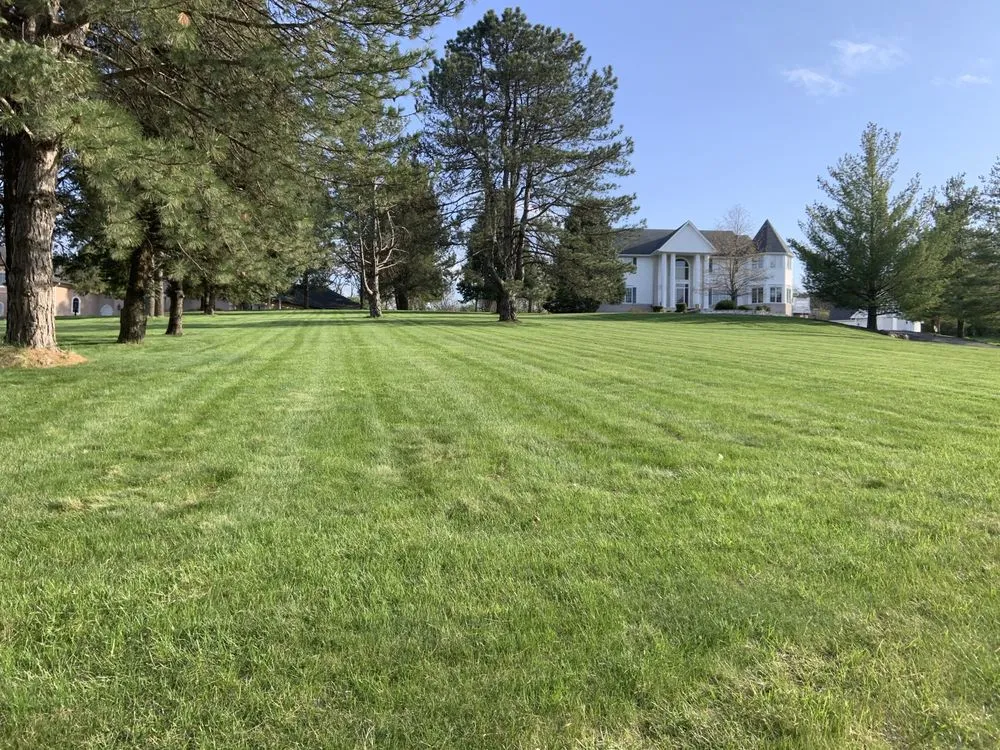 Expert lawn mowing service for year-round maintenance in Ankeny, IA by Rondomow
