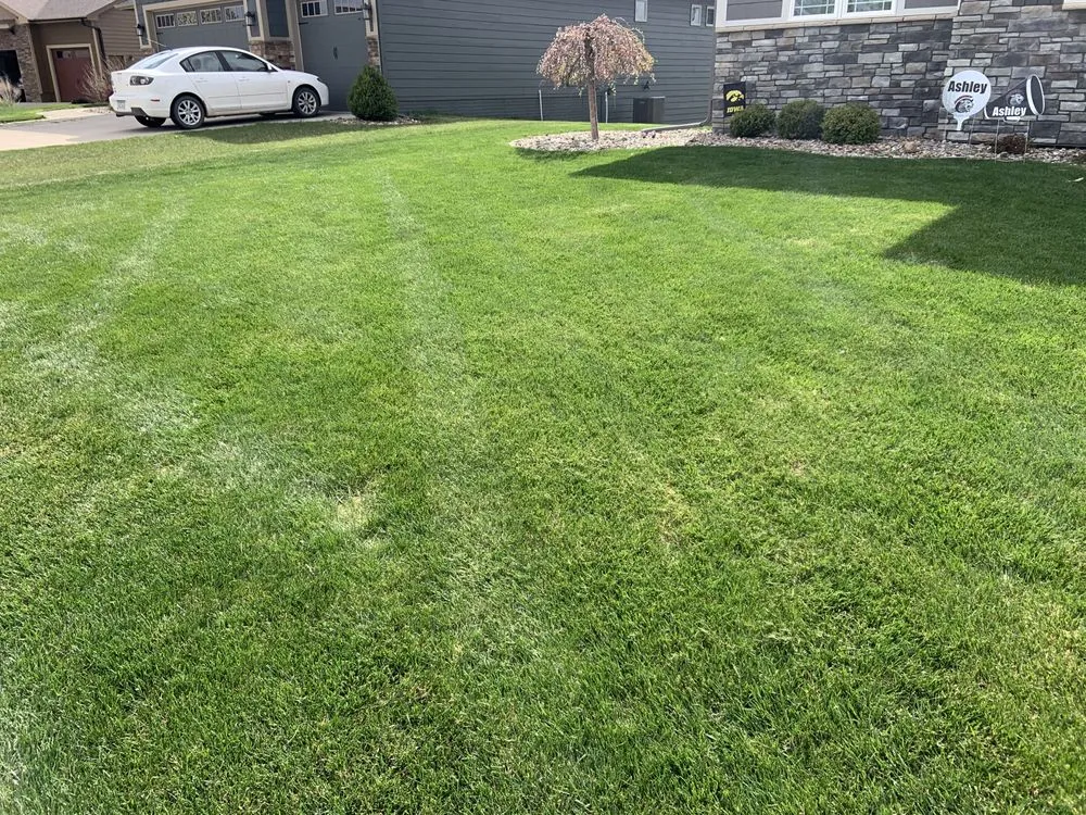 Reliable landscaping services for residential properties in Ankeny, IA by Rondomow