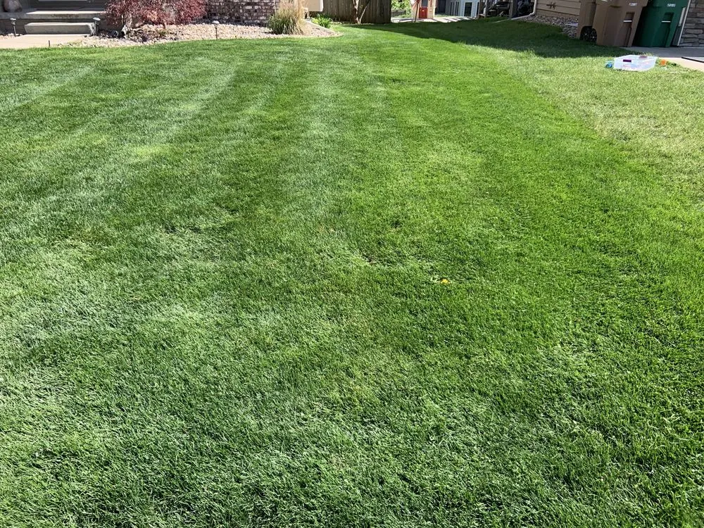 Top-rated yard maintenance with custom design across Ankeny, IA - Rondomow