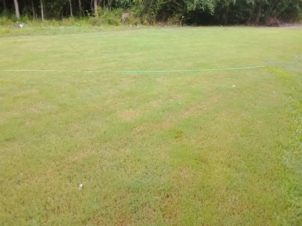 Affordable lawn care service in Commerce, GA - Rondo's Sod Patching