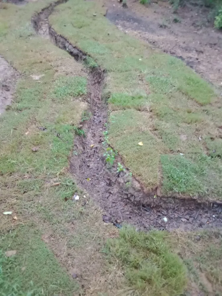 Expert landscape installation for homes across Commerce, GA - Rondo's Sod Patching