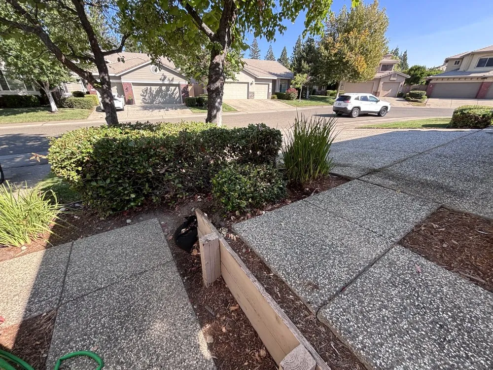 Professional outdoor landscaping in Auburn, CA - Roney's Yard Maintenance