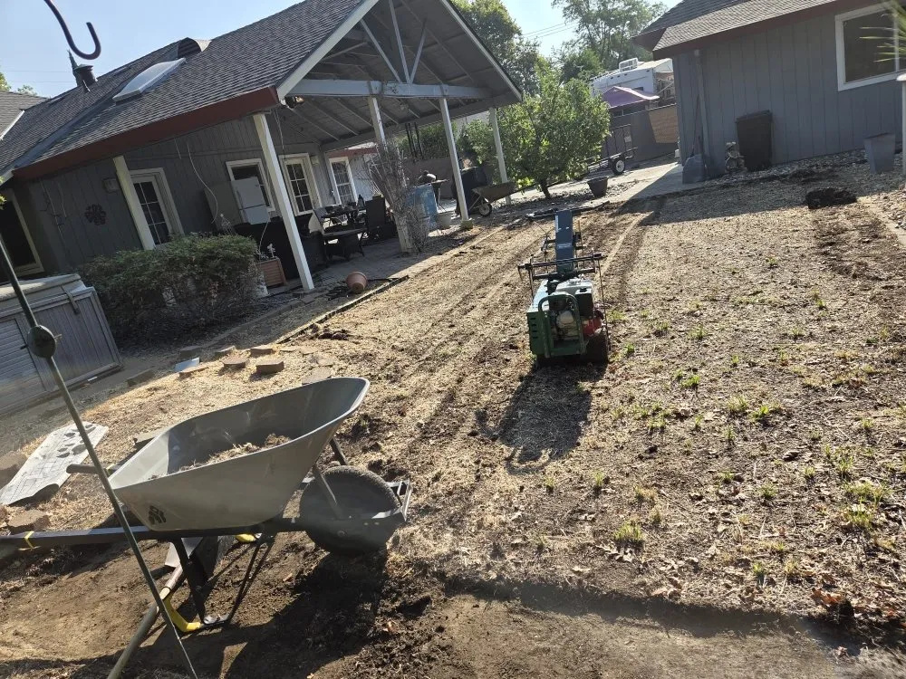 Expert yard cleanup service for homes across Auburn, CA - Roney's Yard Maintenance